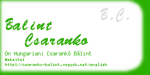 balint csaranko business card